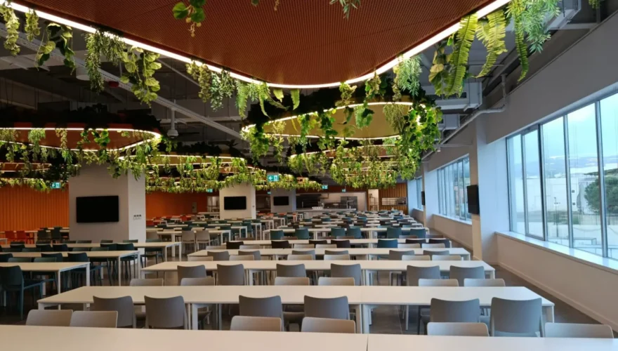 TRENDYOL IZMIR REENFIELD ANTREPO - 2